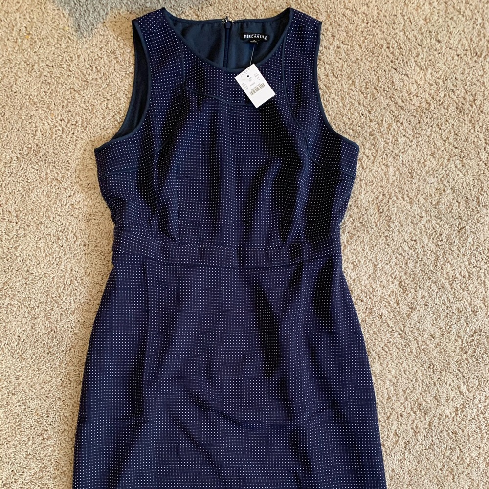 J Crew dress